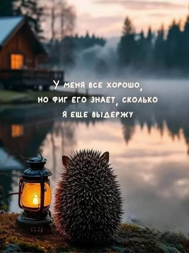 1000006858.webp