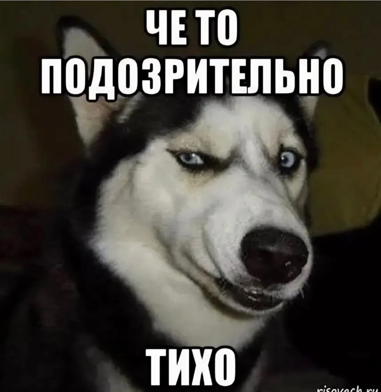1000006977.webp