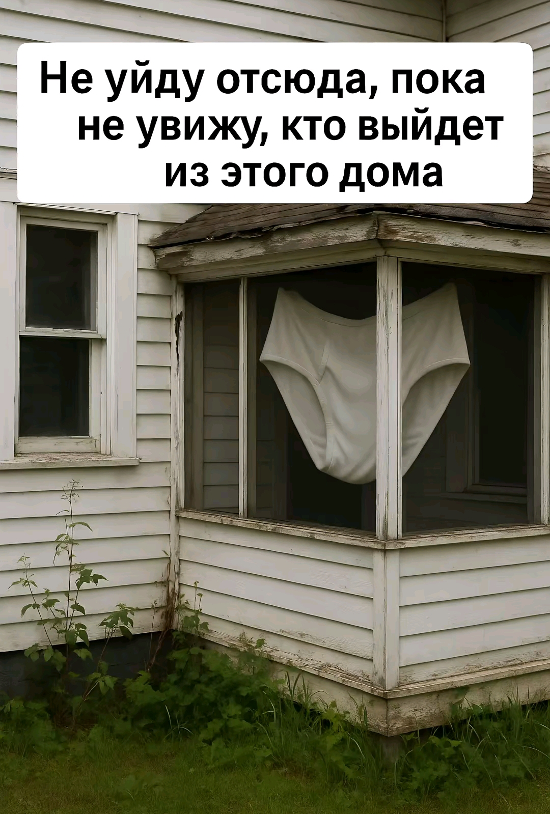 1000007706.webp
