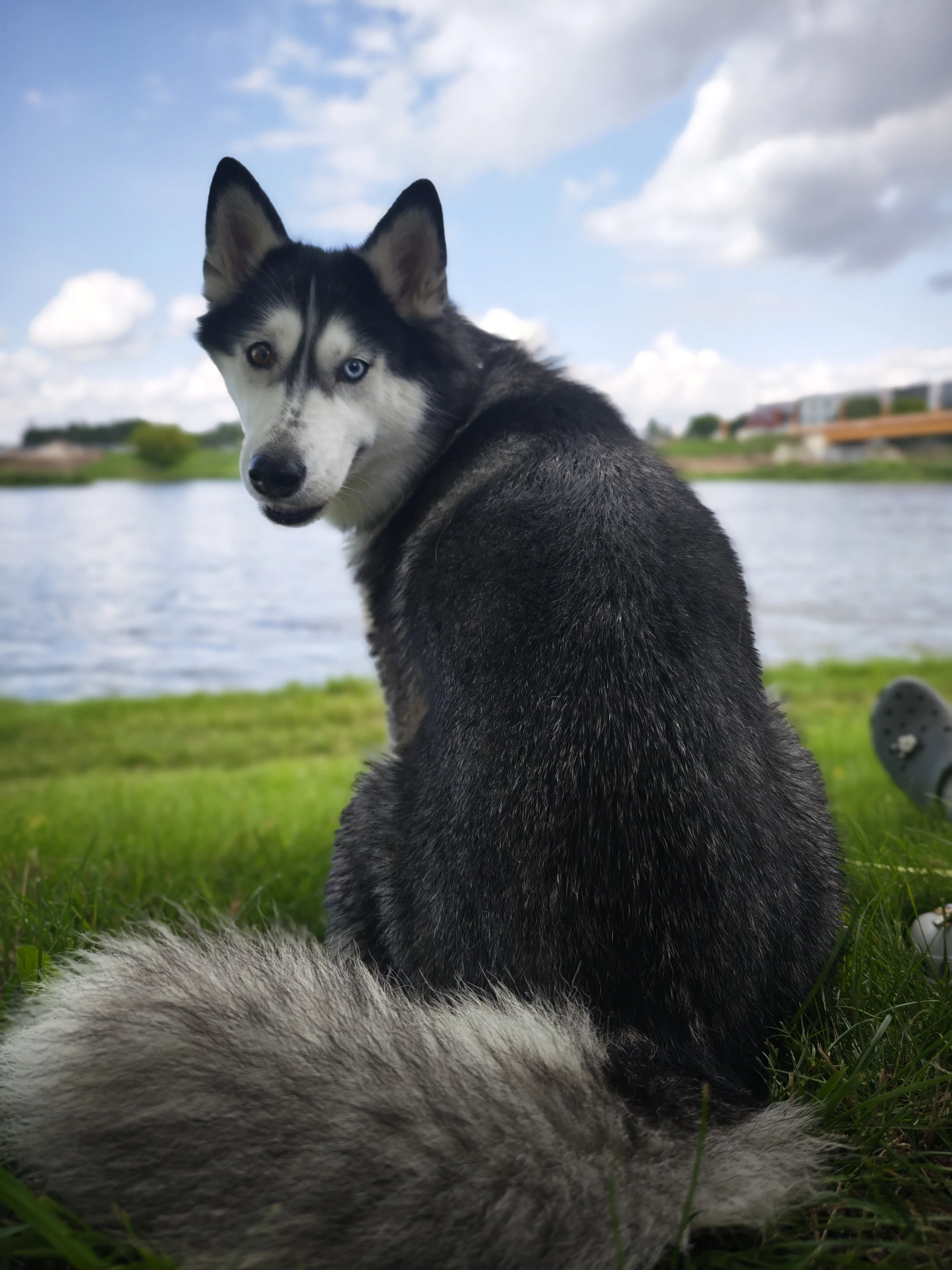 1000011194.webp