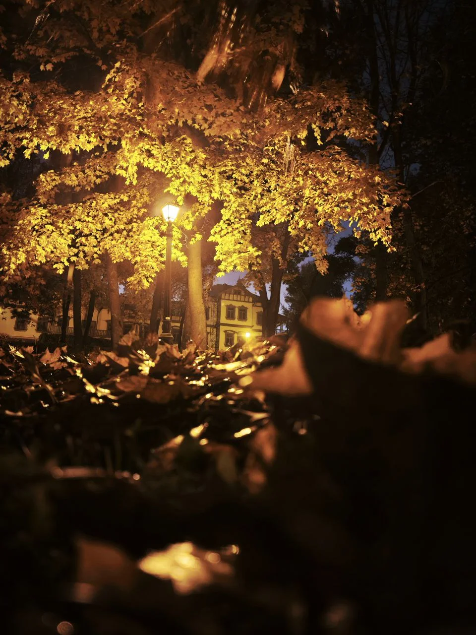 1000011341.webp