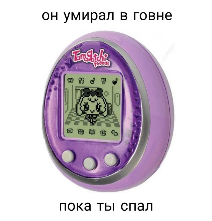 1000016865.webp