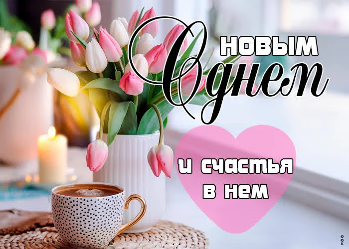 1000017821.webp