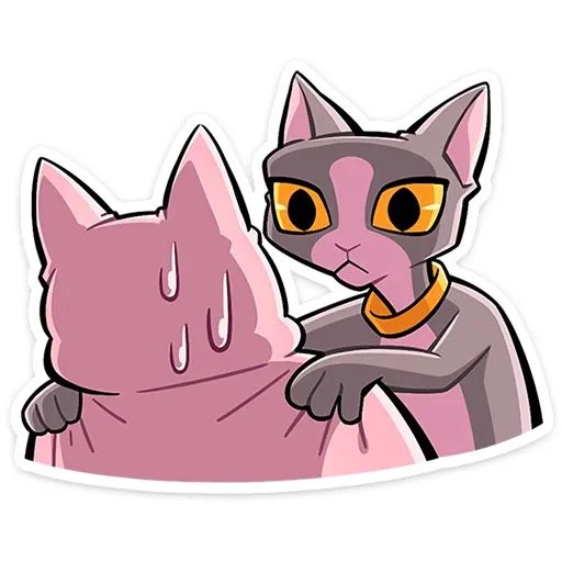 1000018447.webp