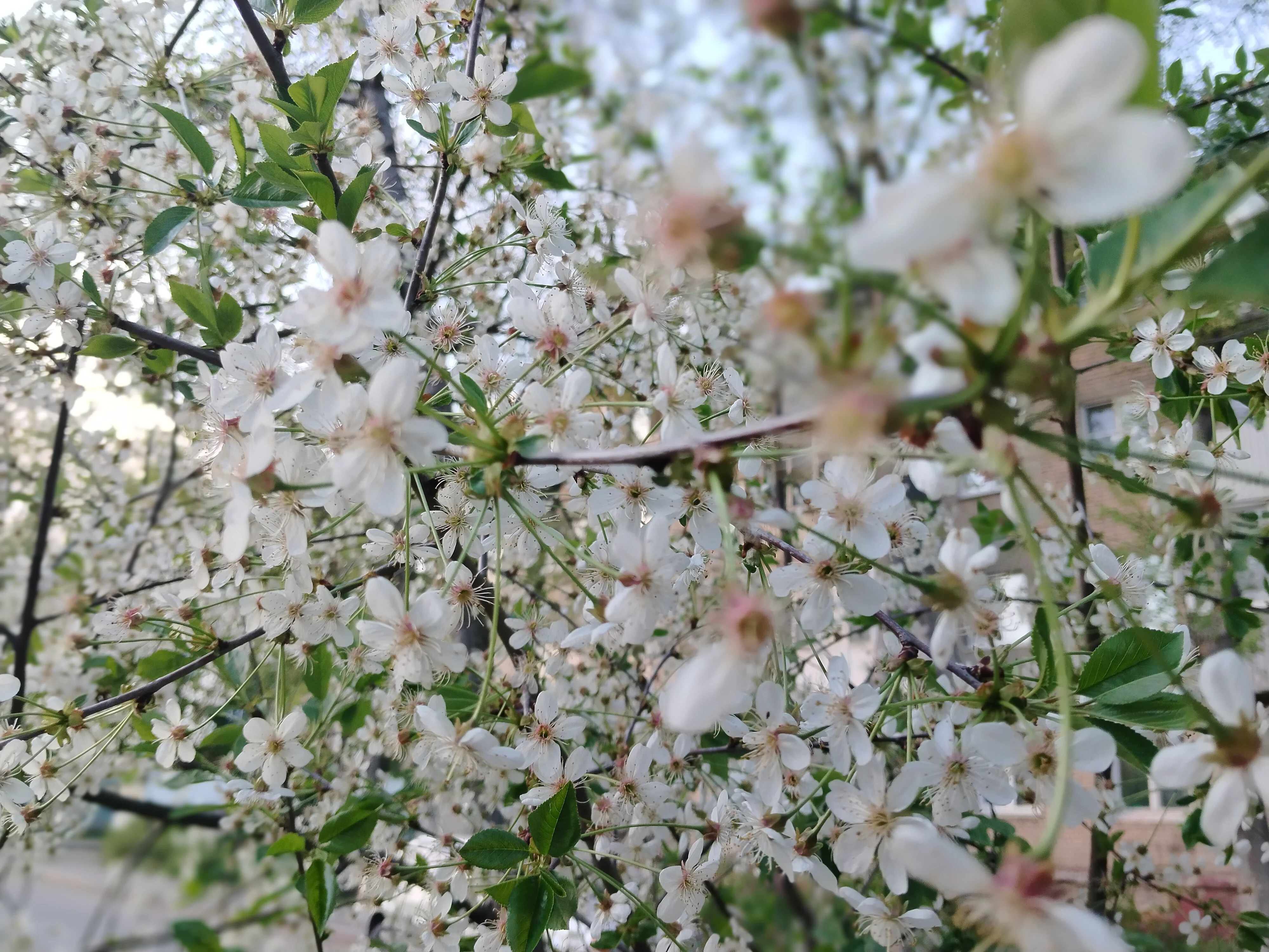 1000019222.webp