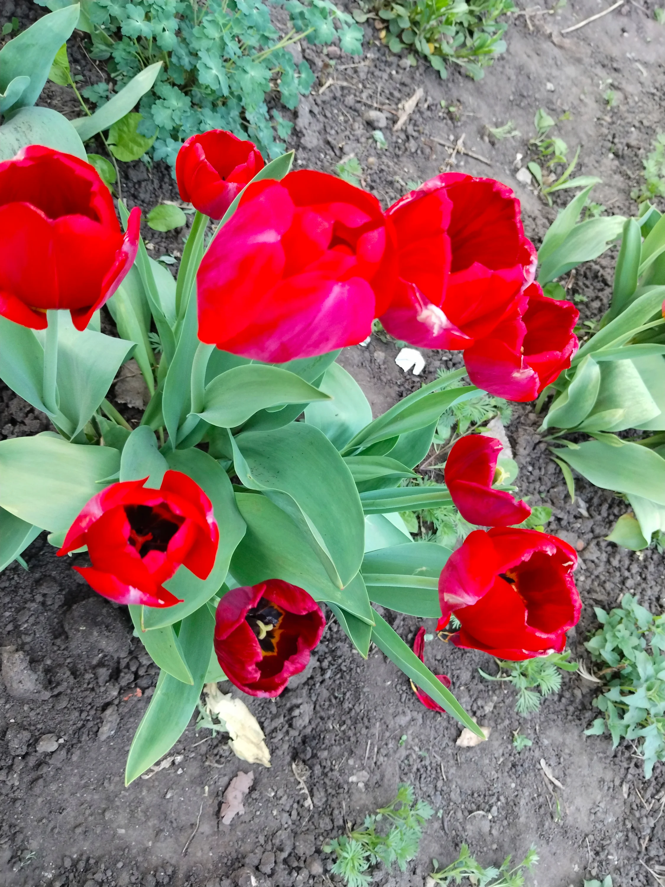 1000019224.webp
