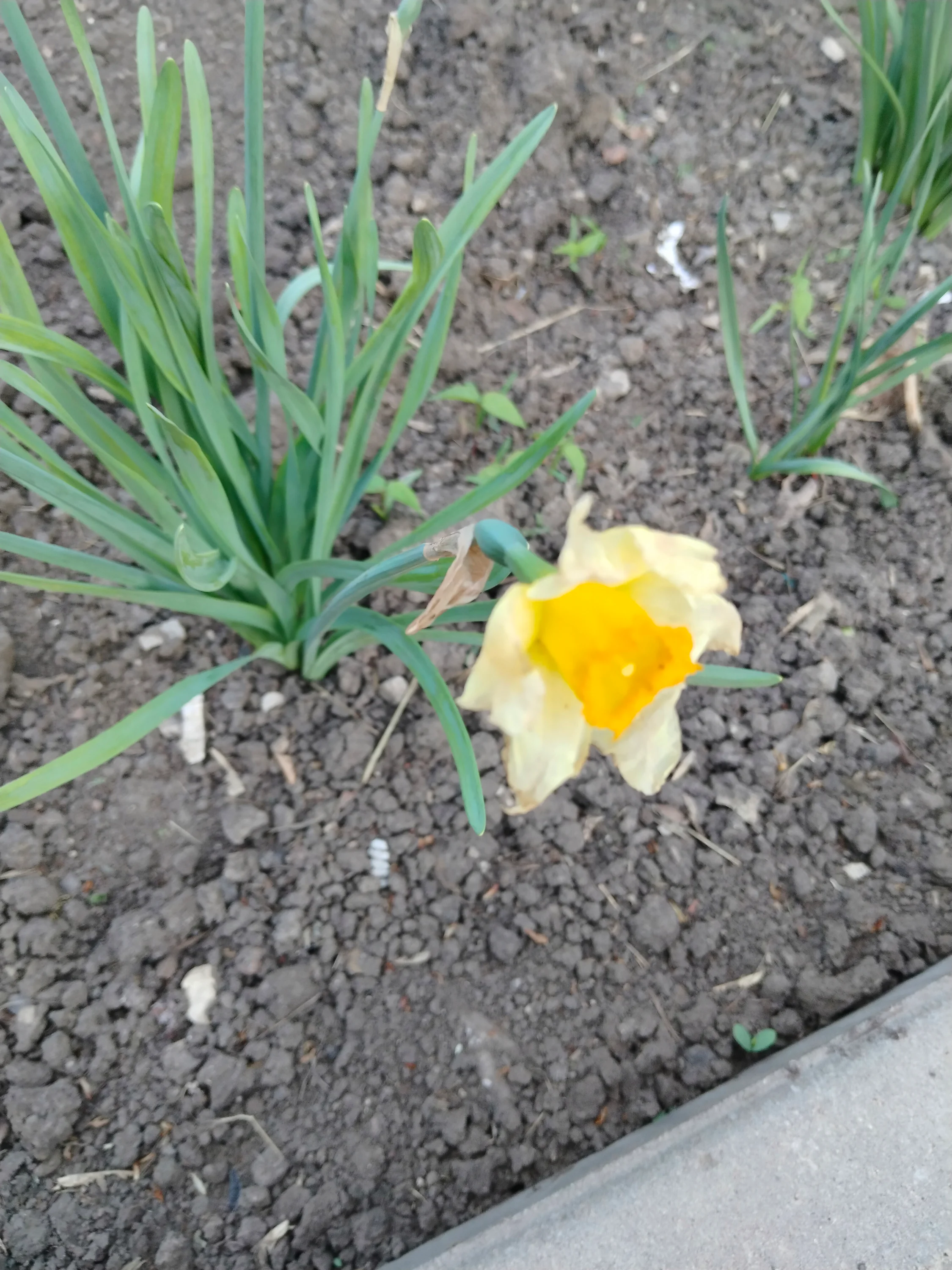 1000019225.webp