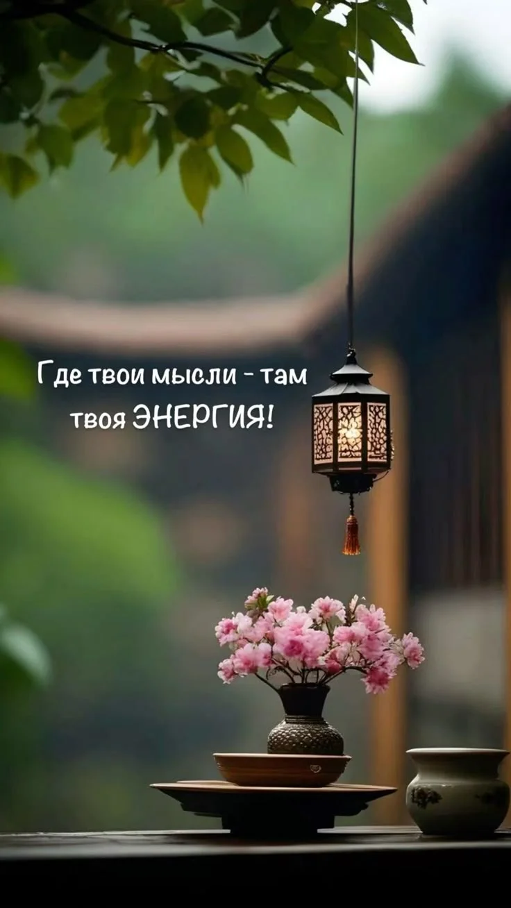 1000019395.webp