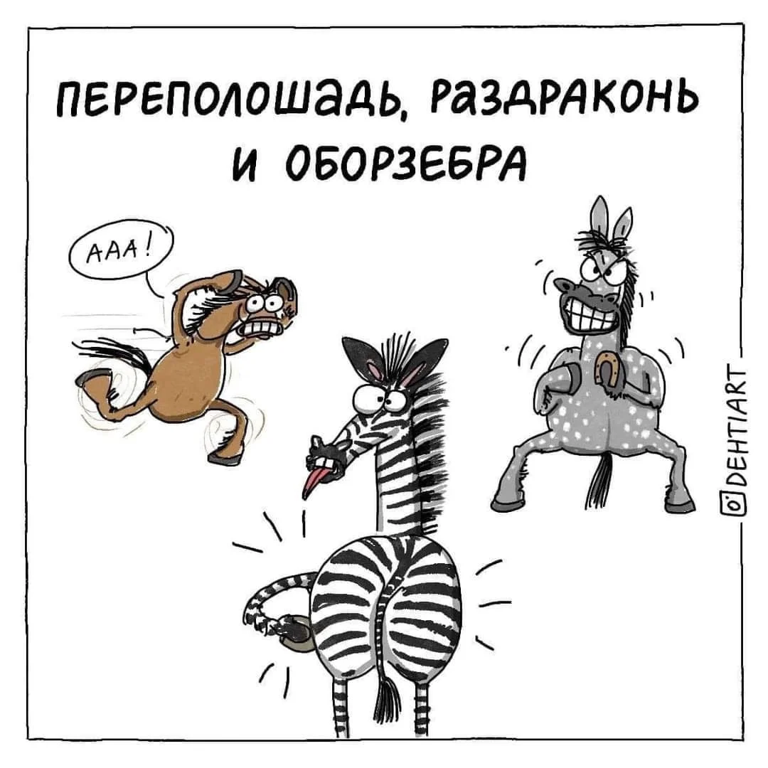 1000020713.webp