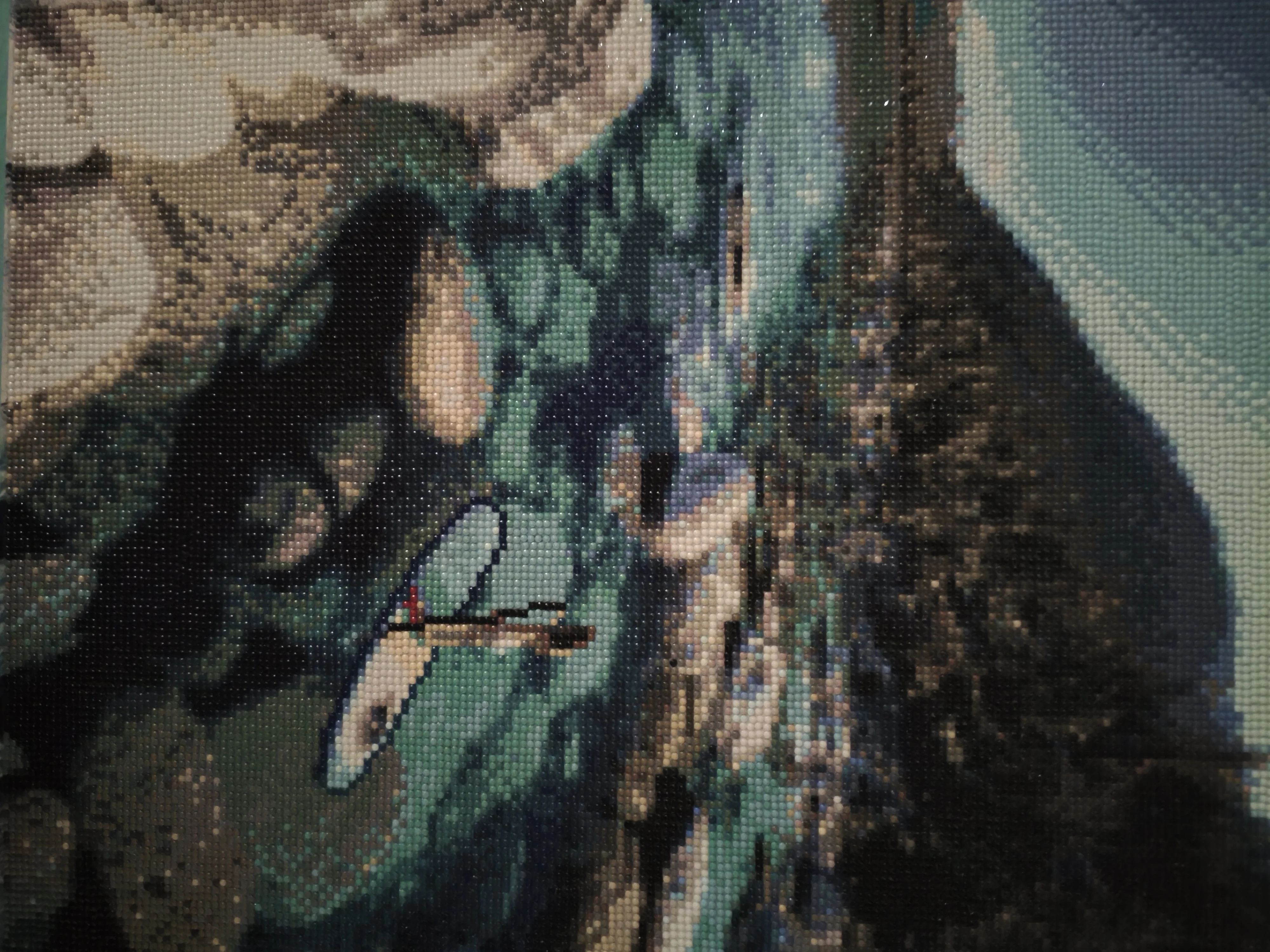 1000022735.webp