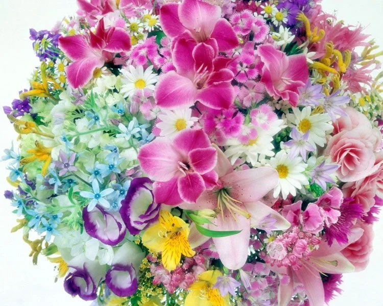 1000027.webp