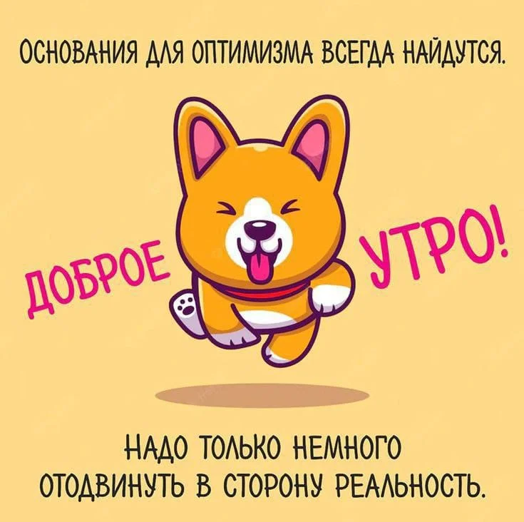 1000036659.webp