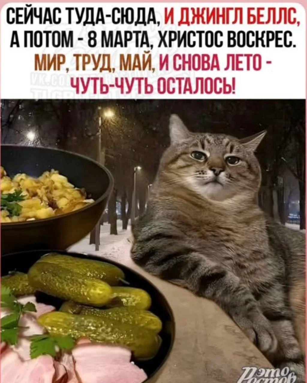 1000036791.webp