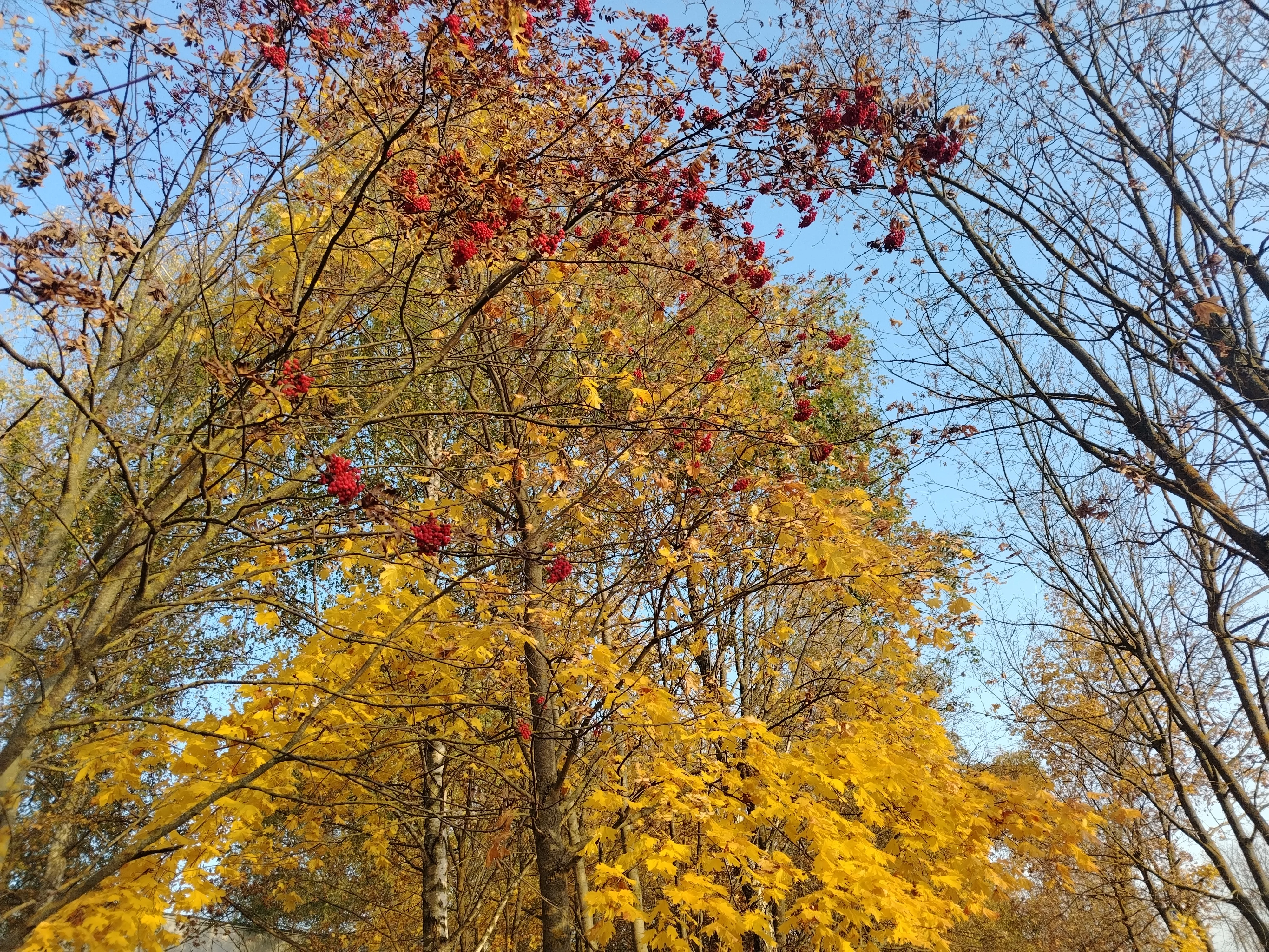 1000041652.webp