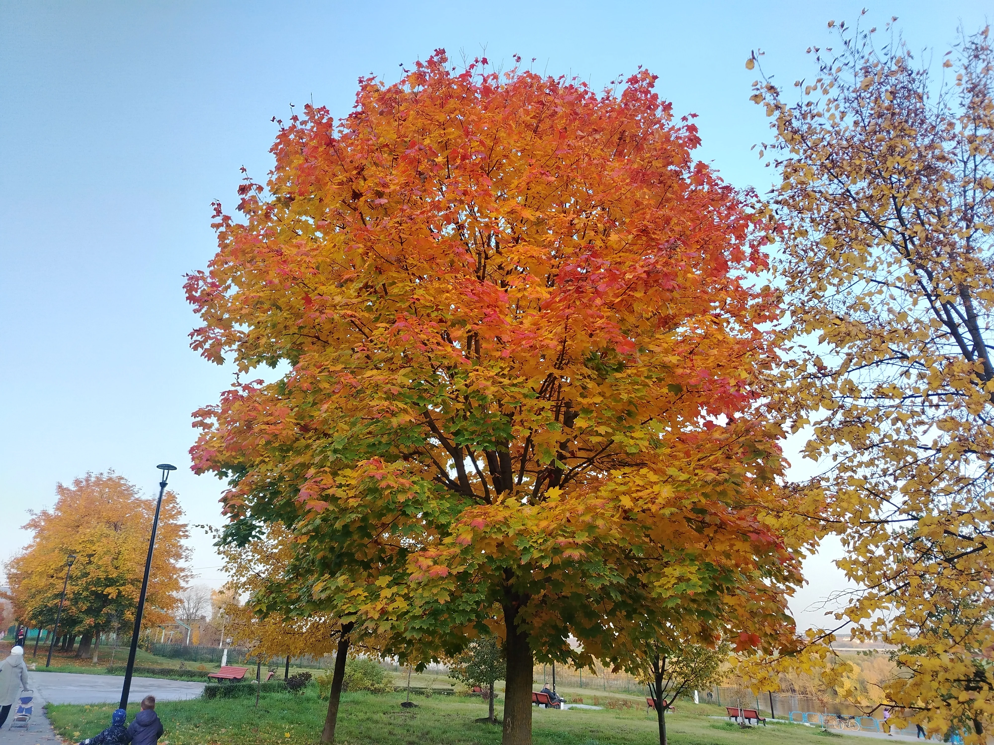 1000041655.webp