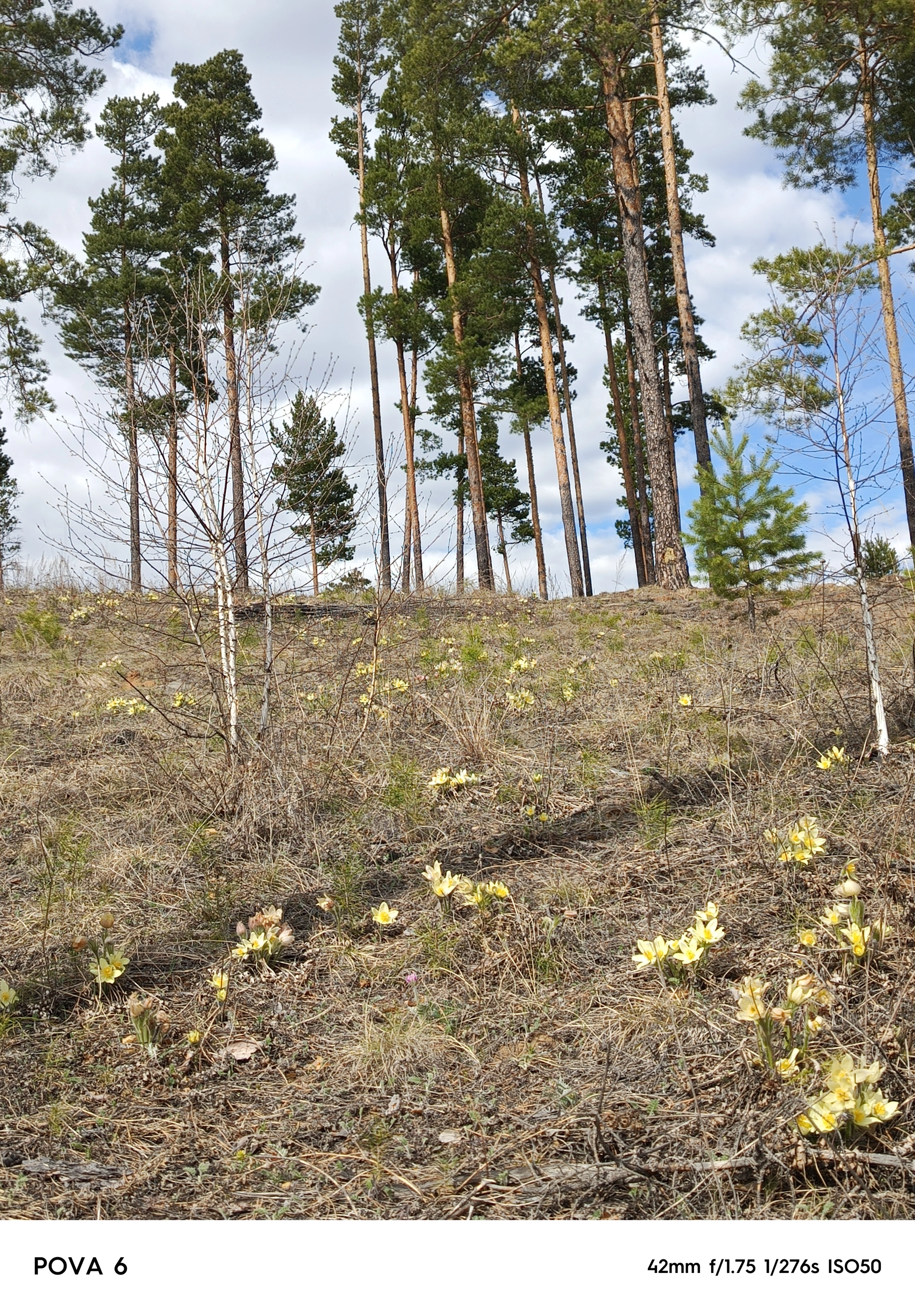 1000041697 (1).webp