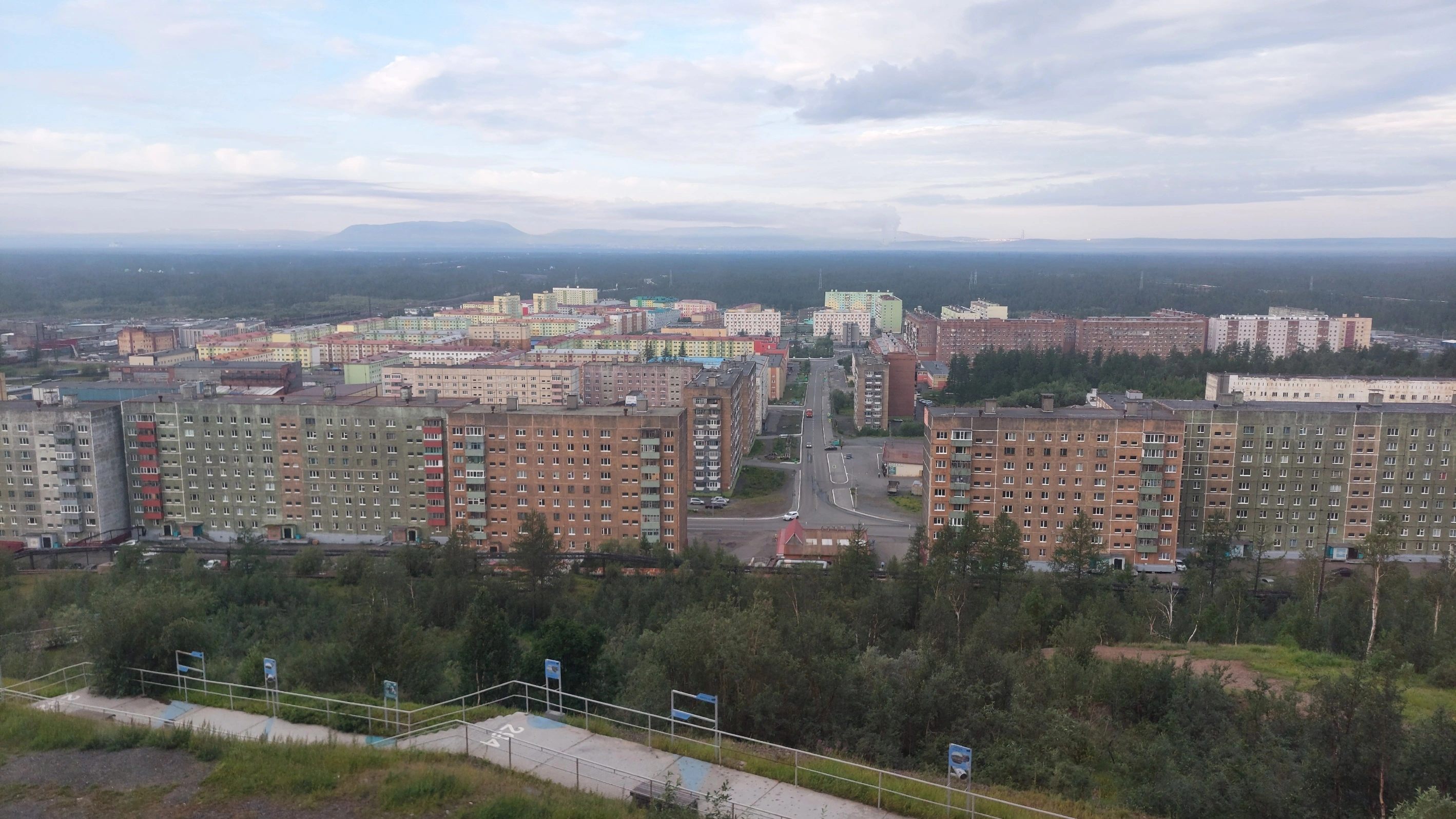 1000050559.webp