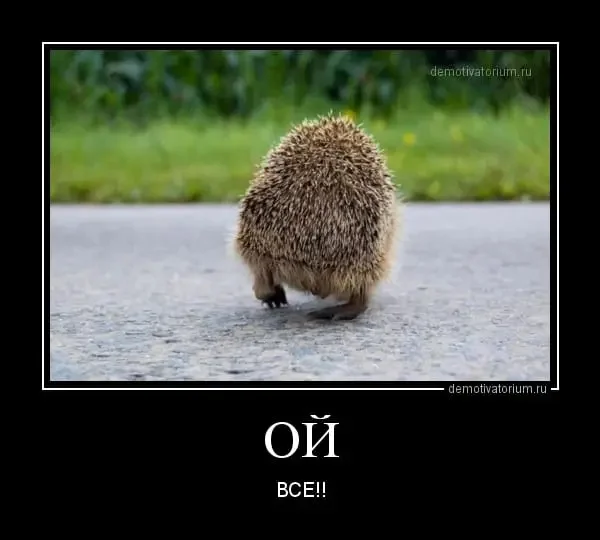 1000082965.webp