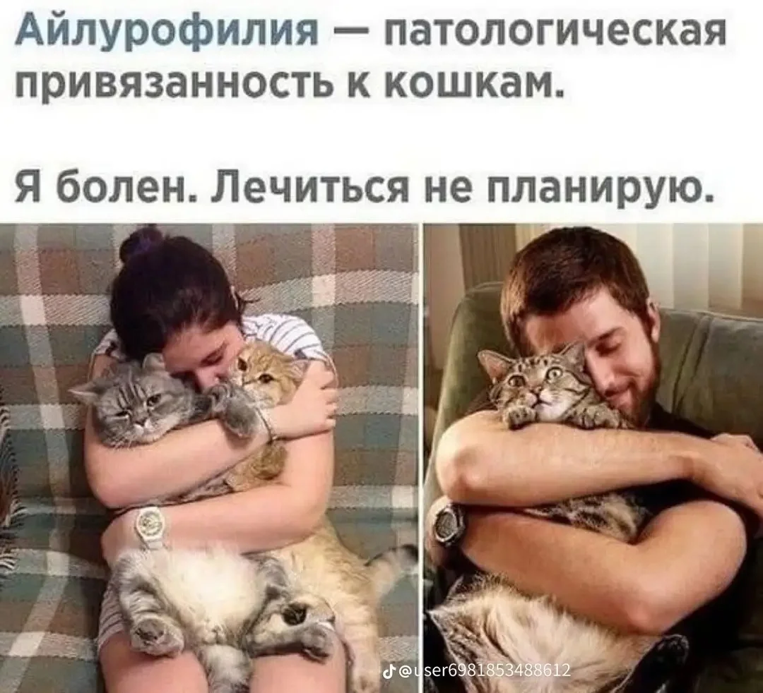 1000083129.webp