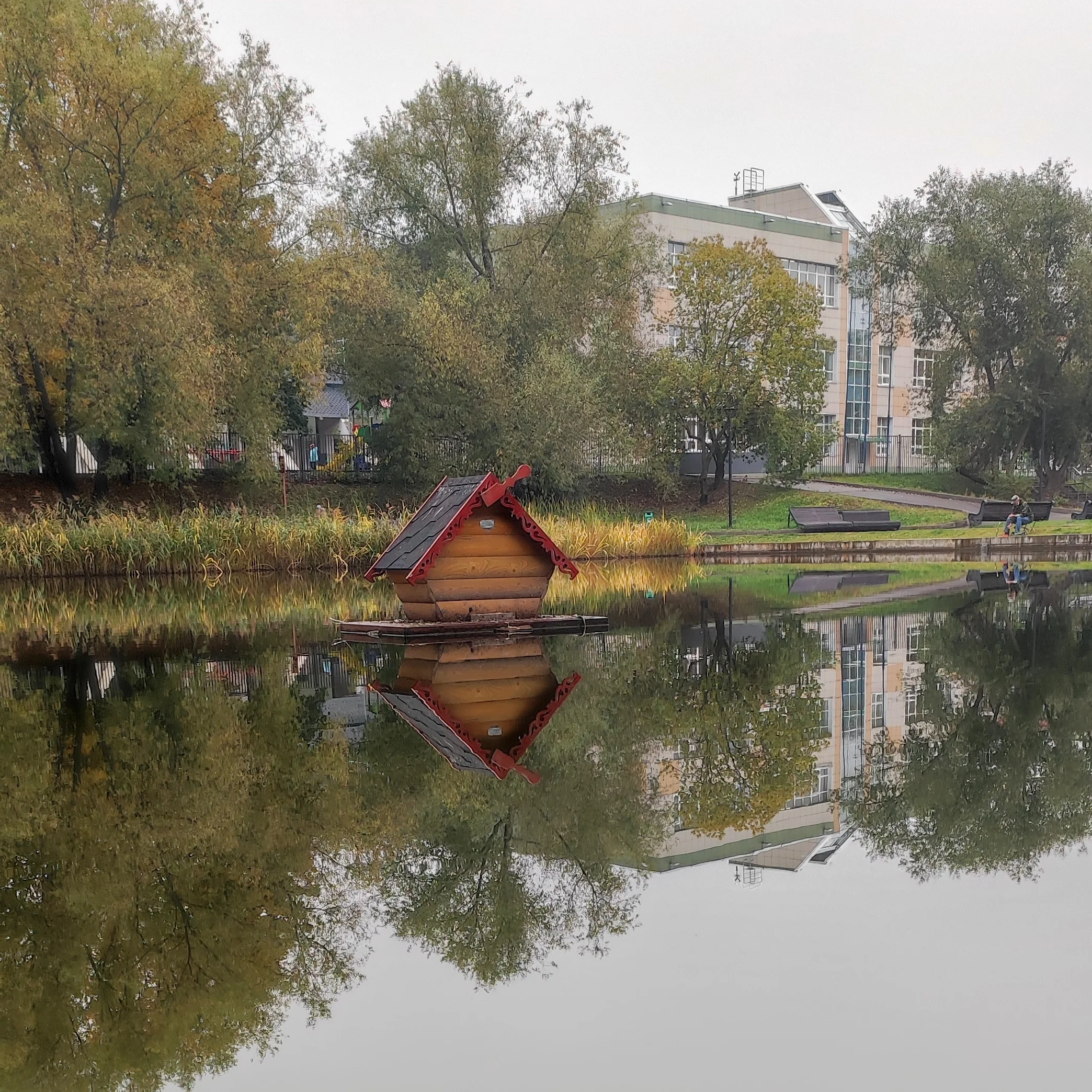 1000083310-webp.2224729