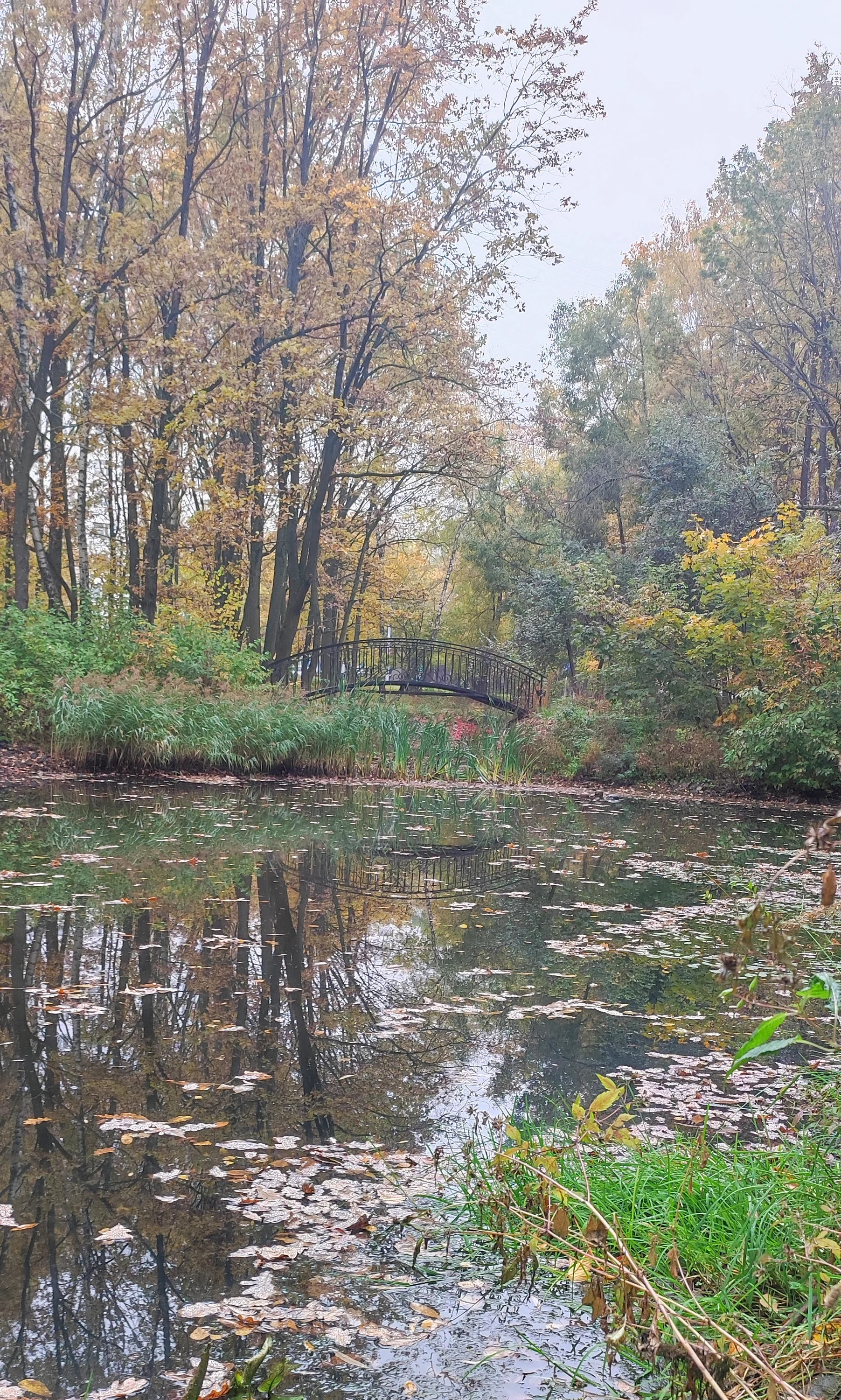 1000083323-webp.2224732