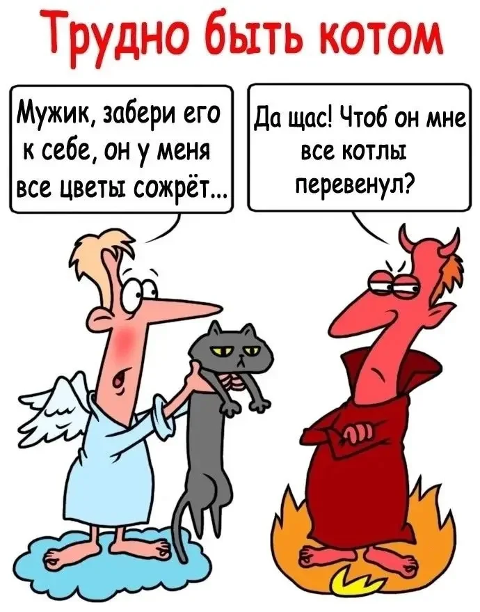 1000083883.webp
