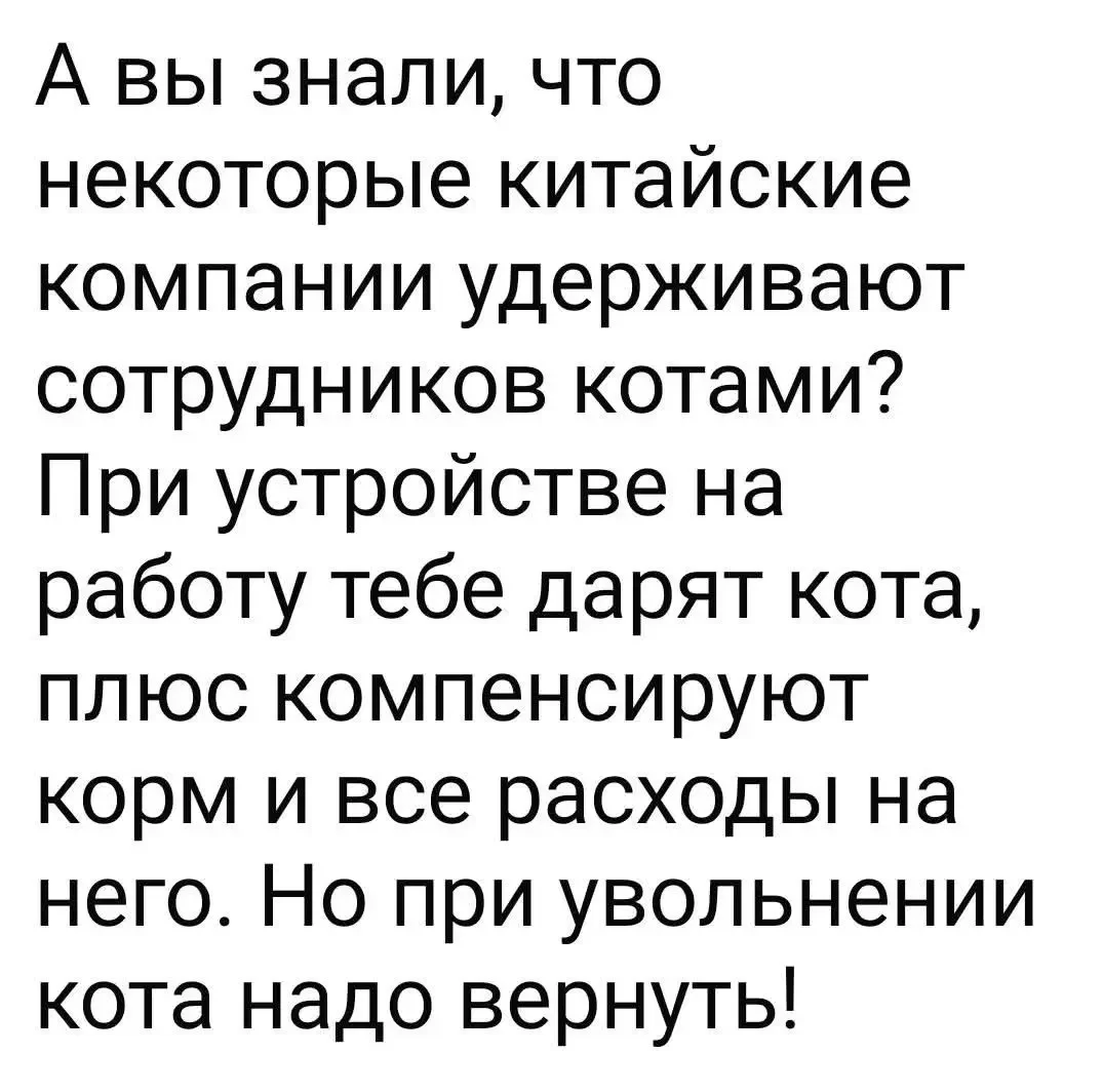 1000083952.webp