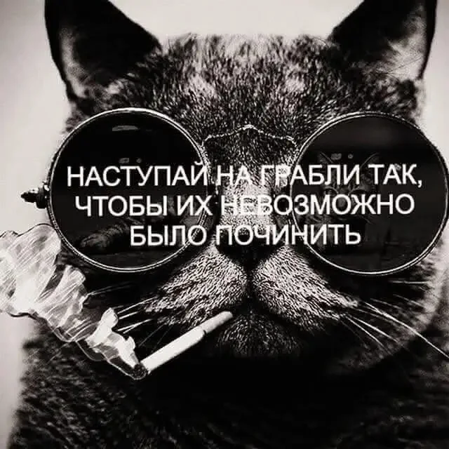 1000083993.webp