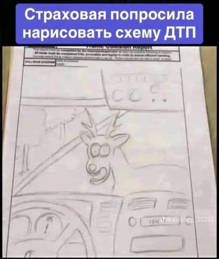 1000084055.webp