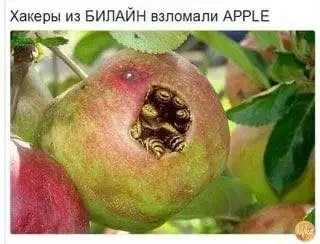 1000084096.webp