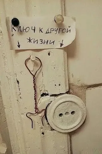 1000084099.webp