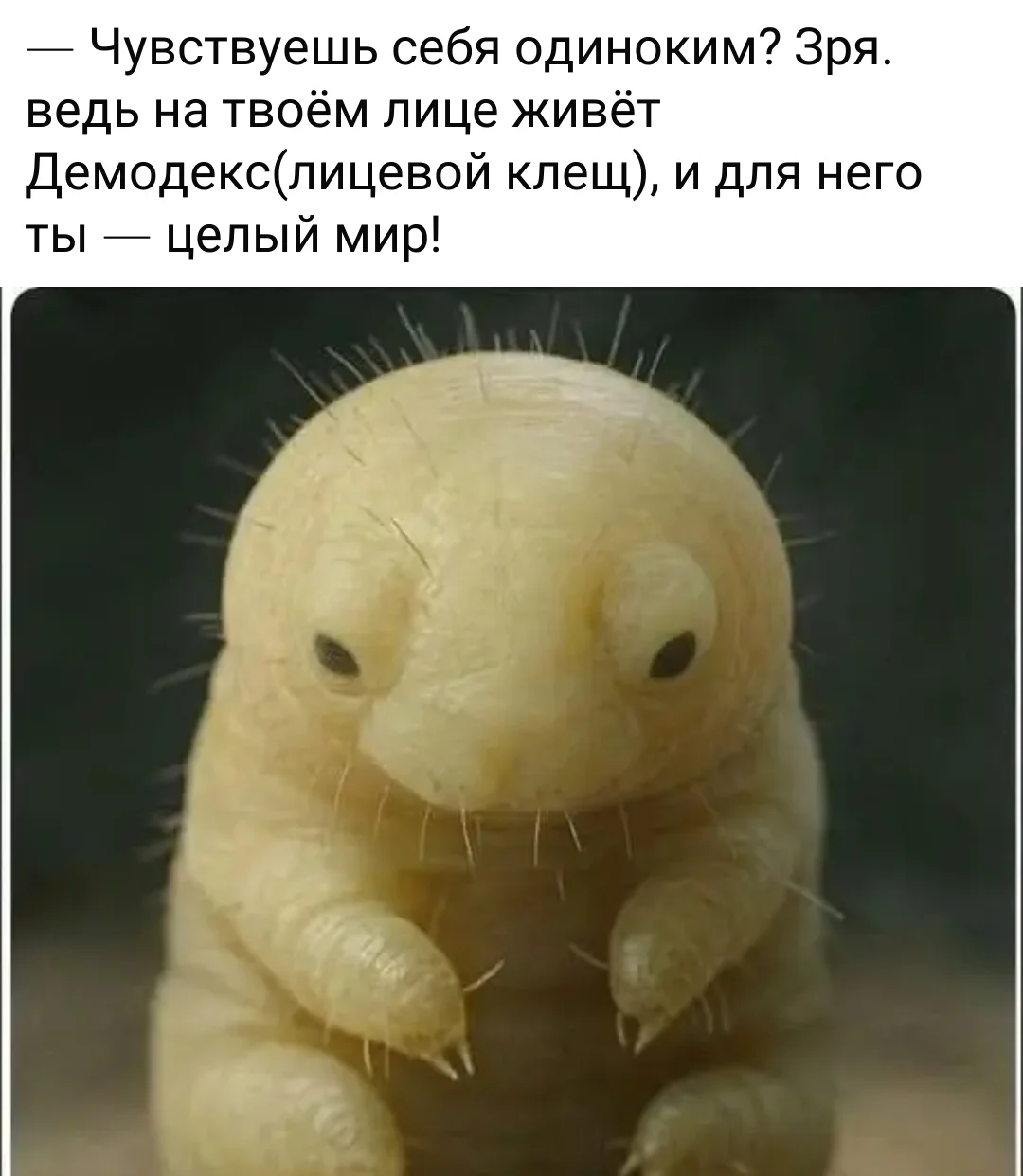 1000084106.webp