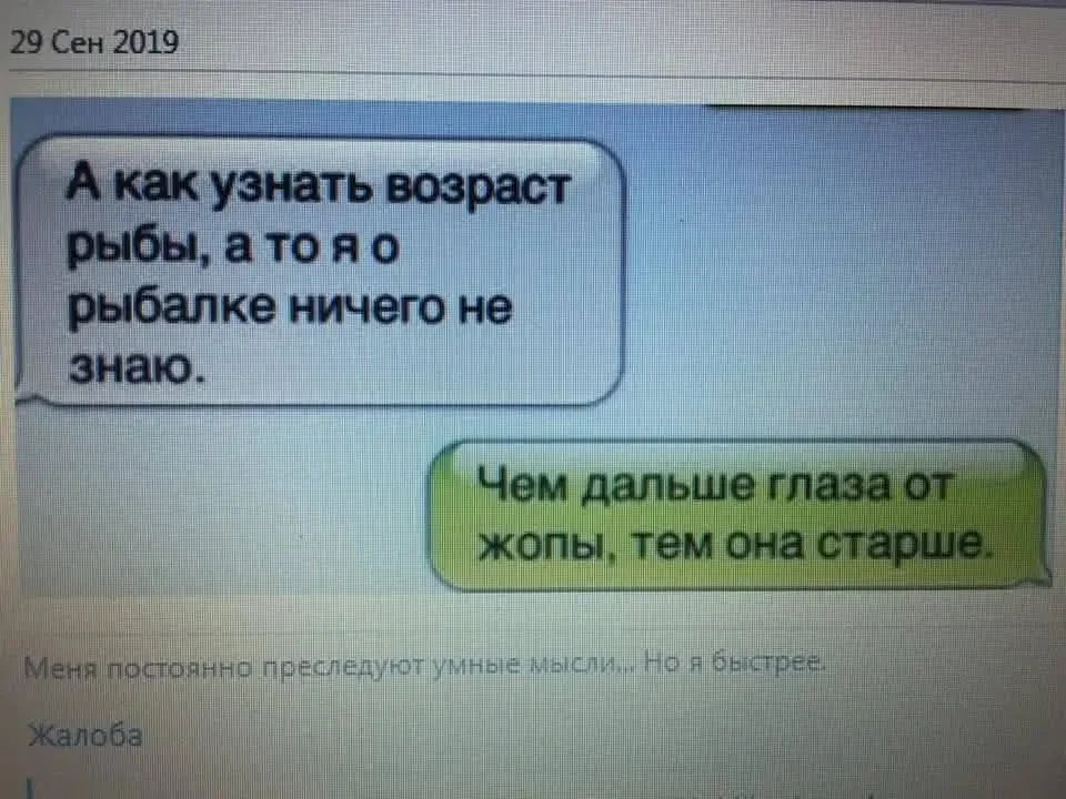1000084135.webp