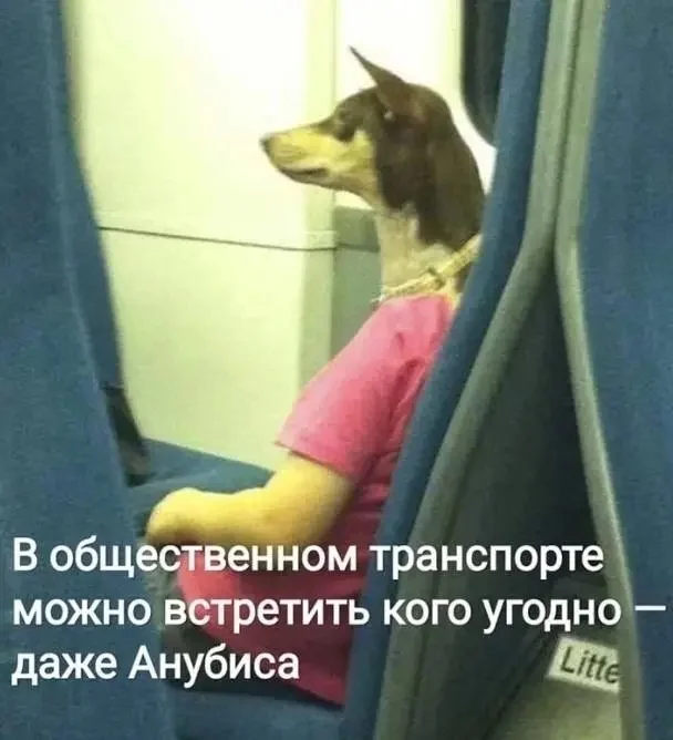 1000084139.webp