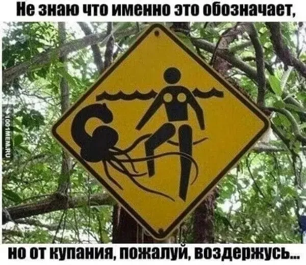 1000084140.webp