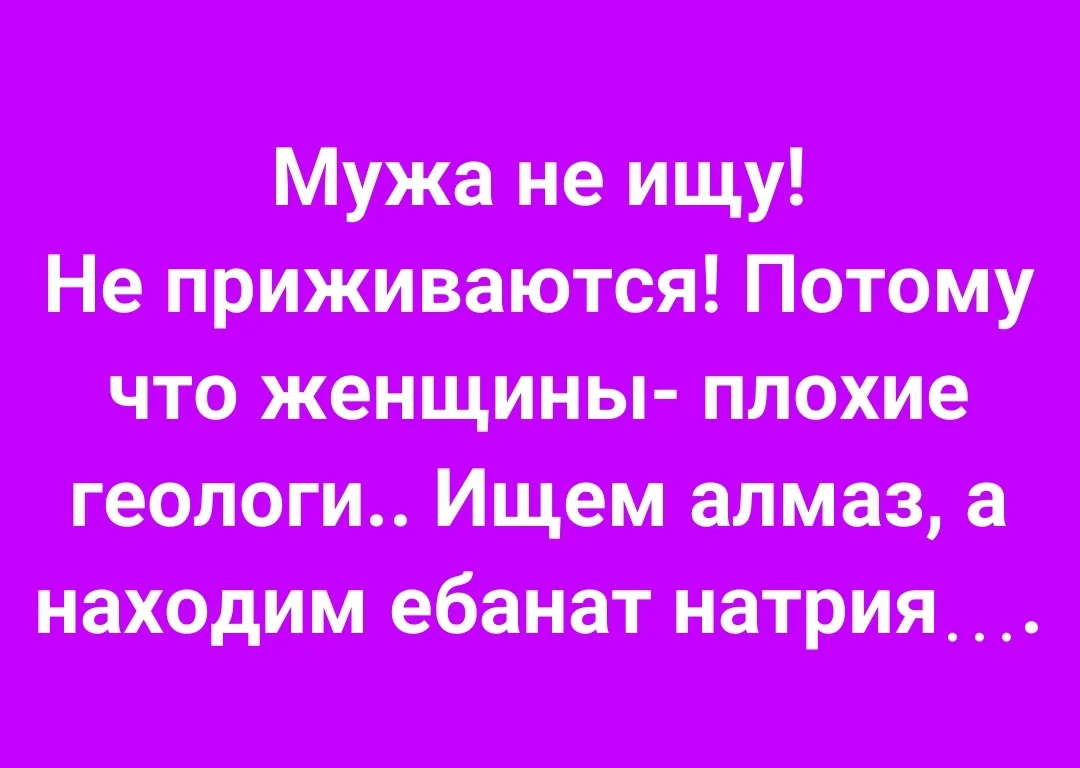 1000084151.webp