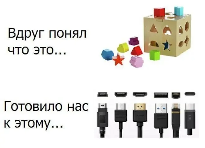 1000084181.webp