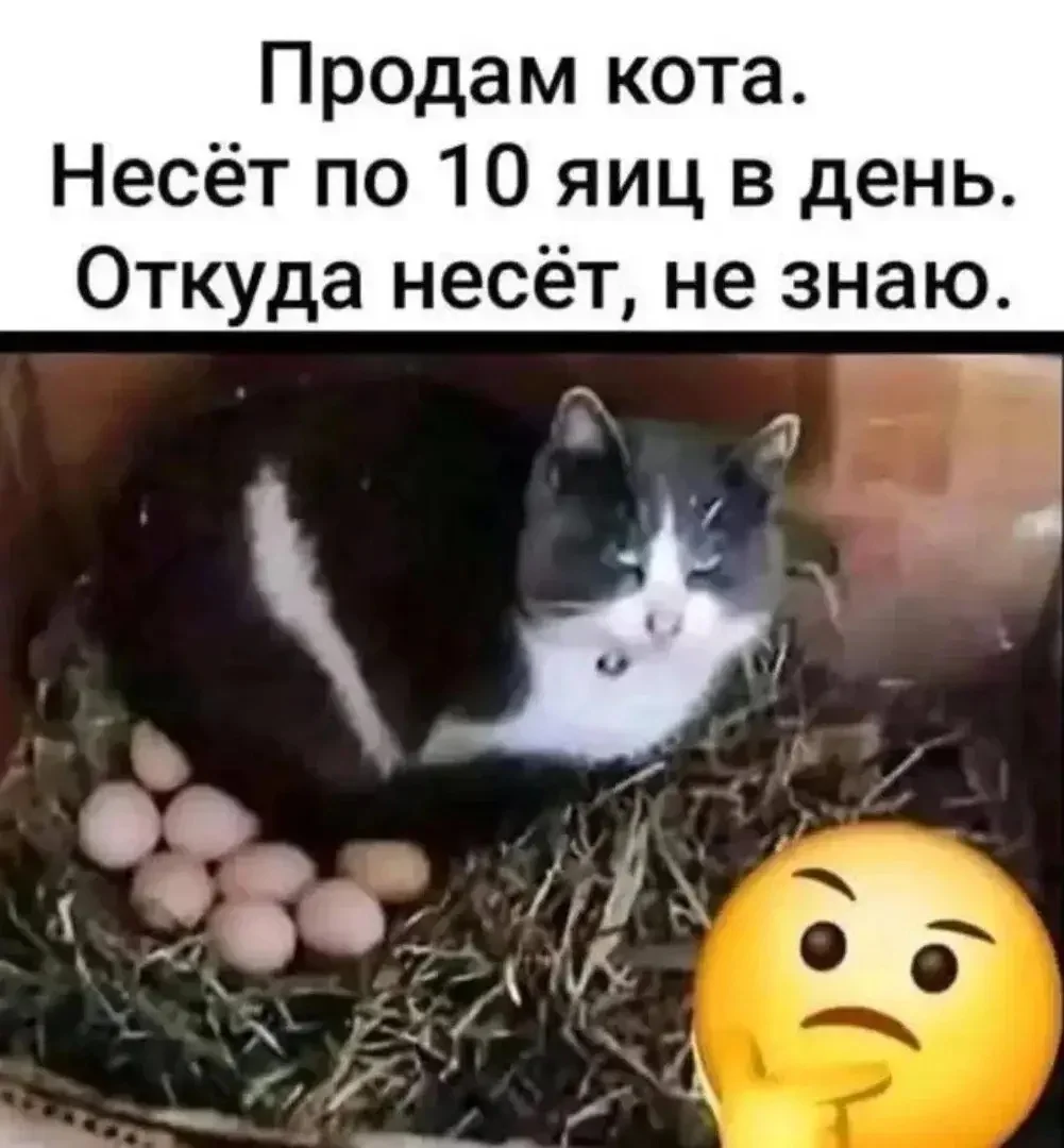 1000084190.webp