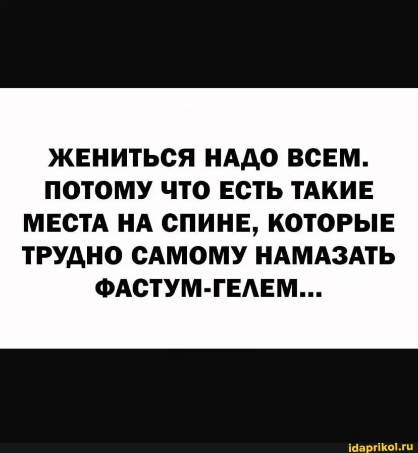 1000084197.webp