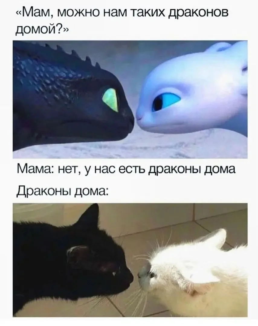 1000084199.webp