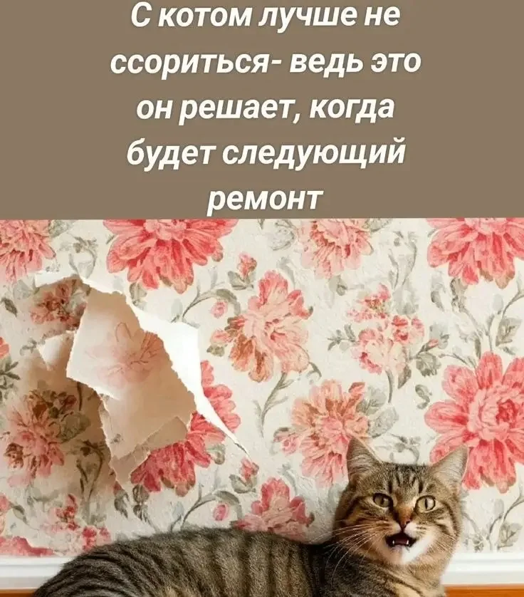 1000084200.webp