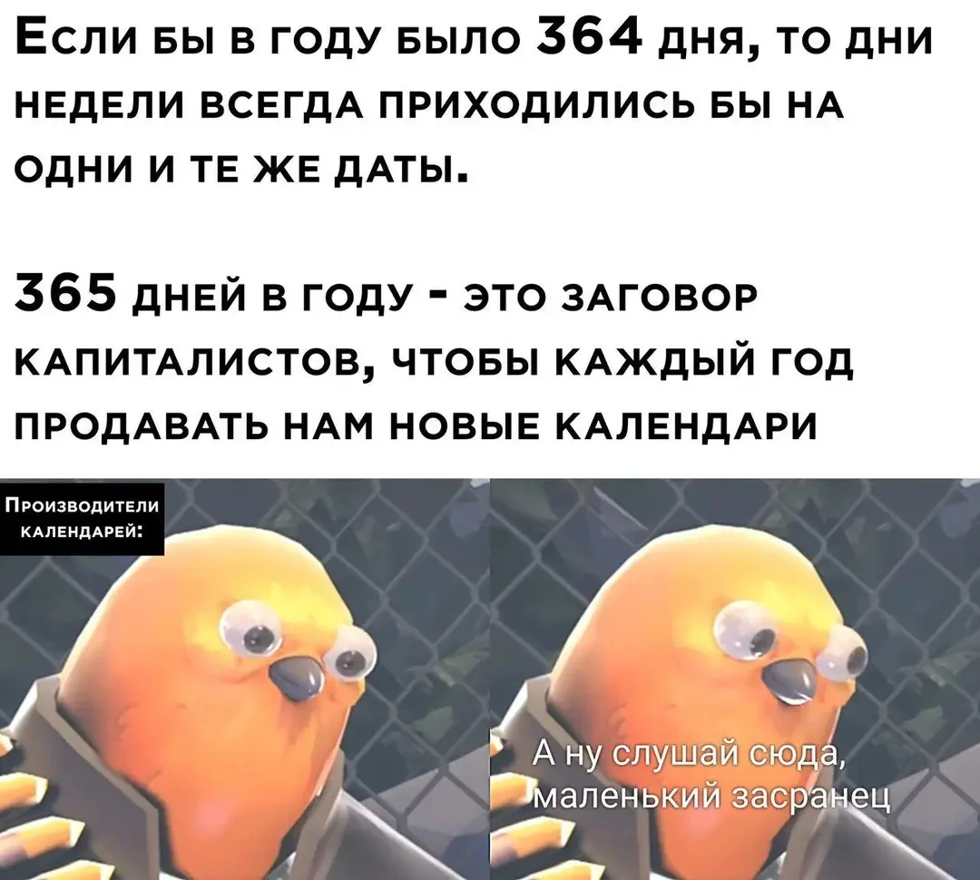 1000084226.webp