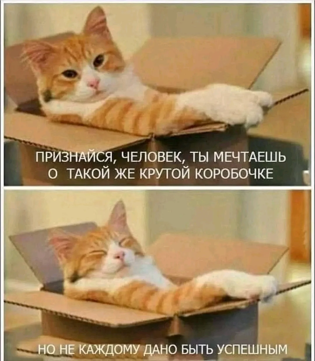 1000084277.webp