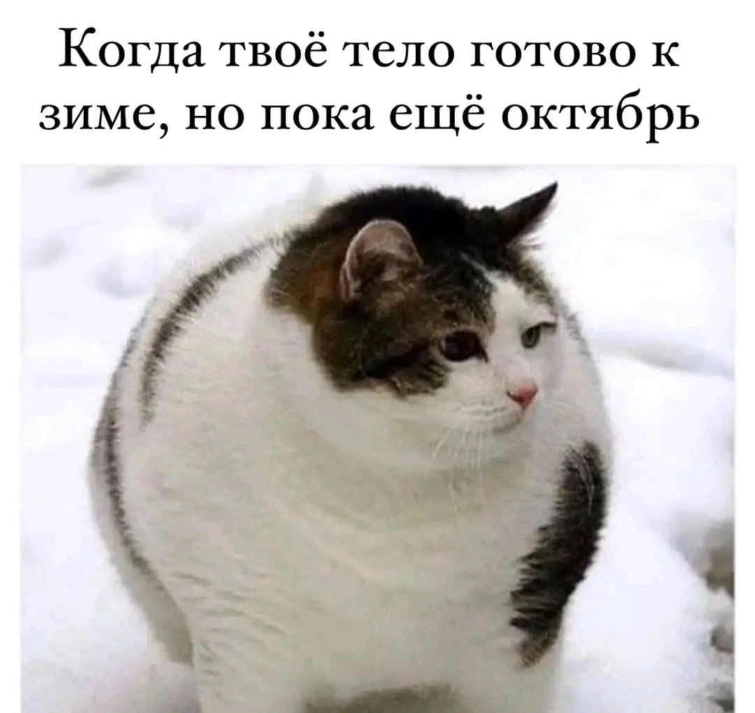 1000084280.webp