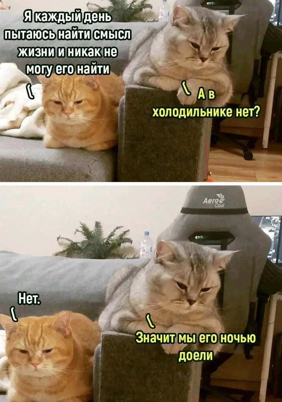 1000084282.webp