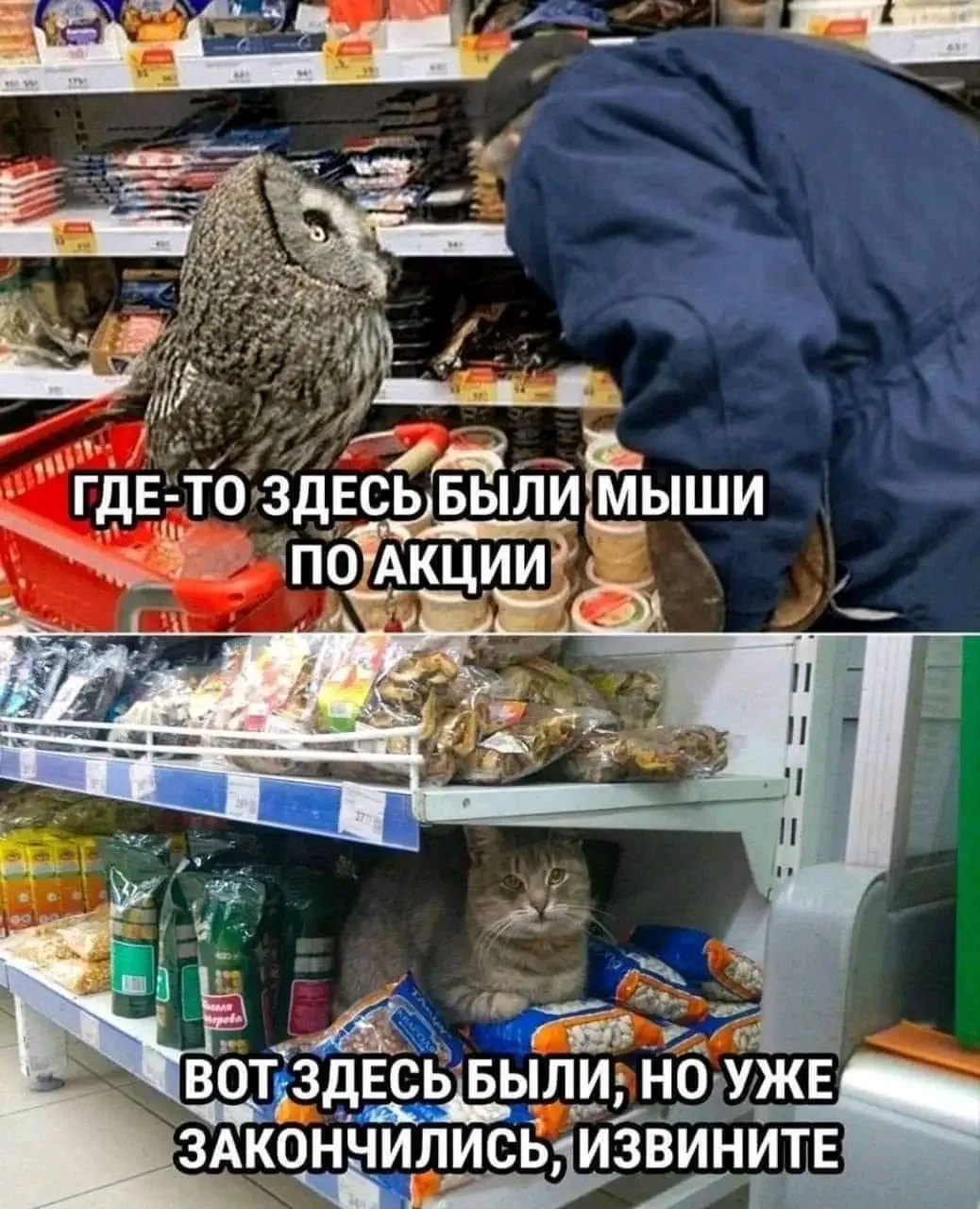1000084284.webp