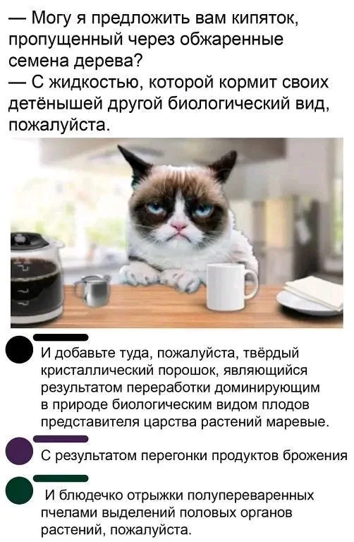 1000084310.webp