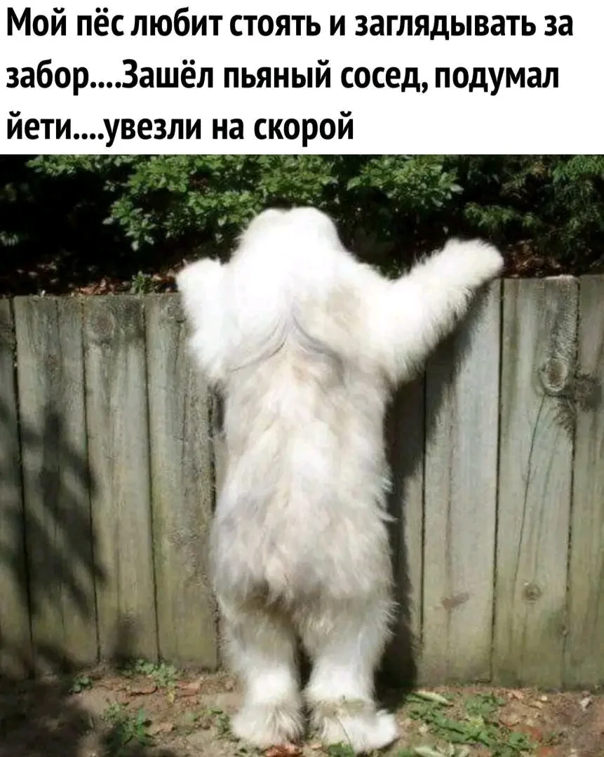 1000084339.webp