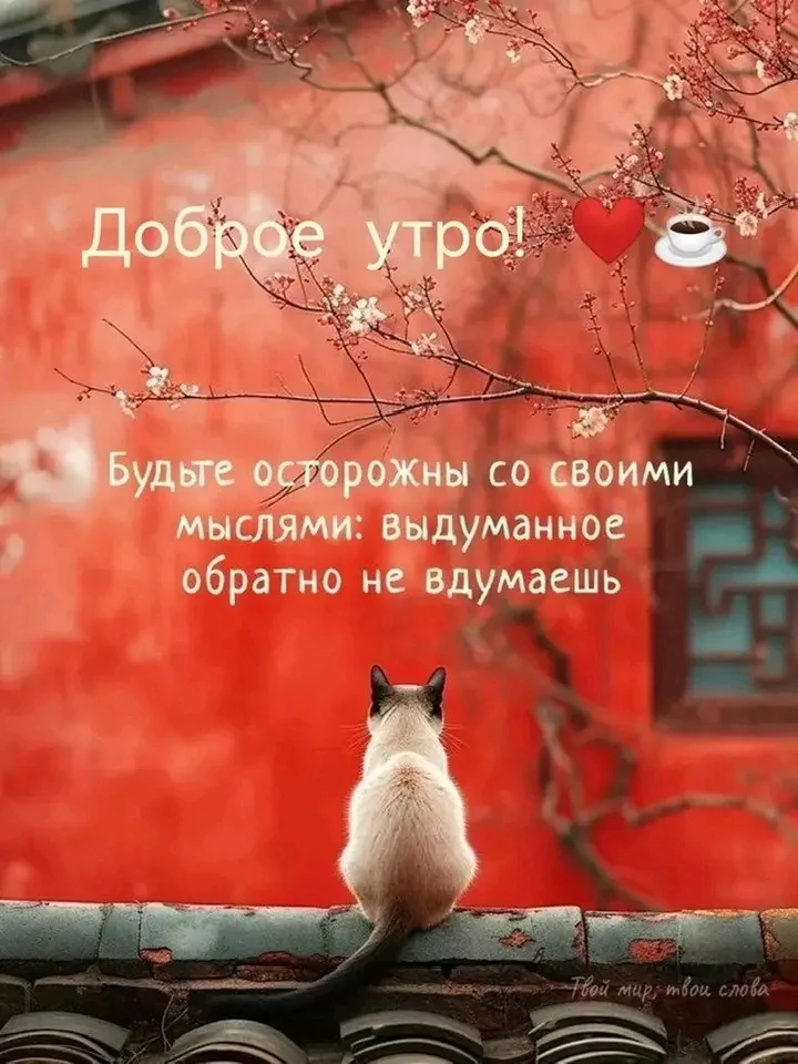 1000084342.webp