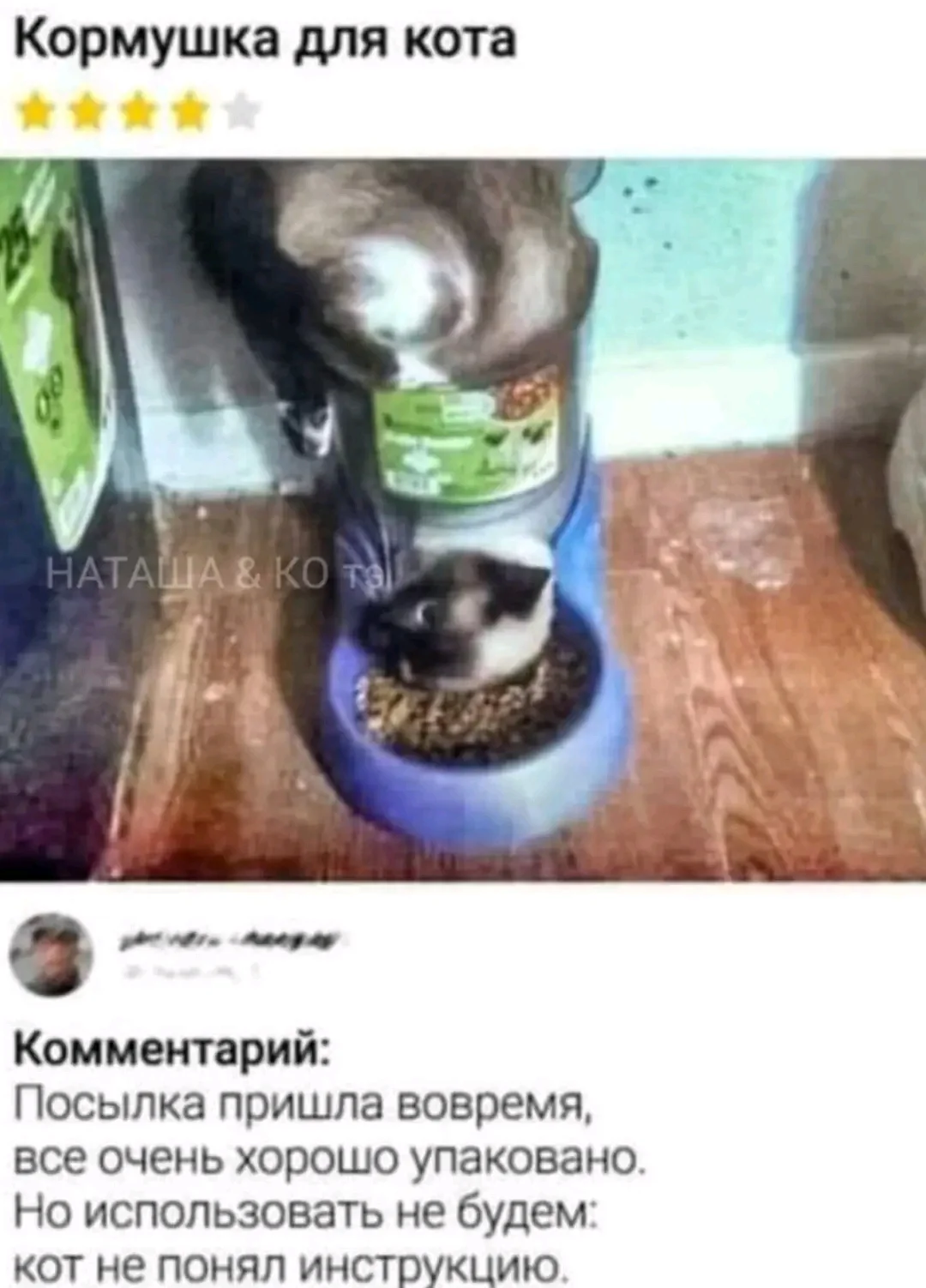 1000084348.webp